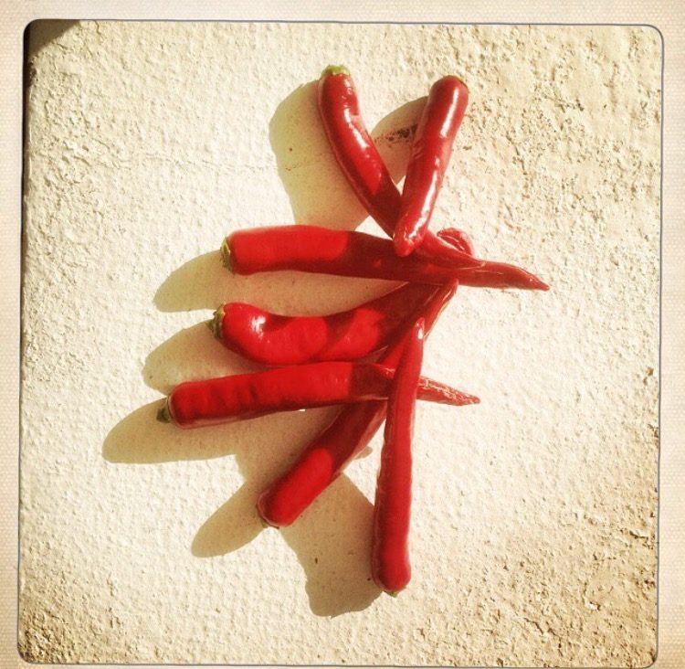 Des piments rouges séchés sur une pierre claire